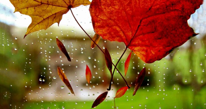 सावन और आंसूओं का नाता #श्रावणमास २